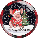 20MM 10Pcs/lot Christmas Print glass snap button charms