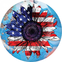 20MM 10Pcs/lot American Flag Print glass snap button charms