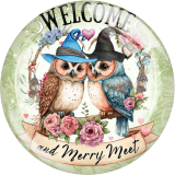 20MM 10Pcs/lot owl Print glass snap button charms
