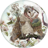 20MM 10Pcs/lot owl Print glass snap button charms