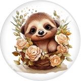 20MM 10pcs/lot Cartoon raccoon dinosaur, little elephant, squirrel  Print glass snap button charms