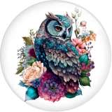 20MM 10pcs/lot Flower color owl  Print glass snap button charms