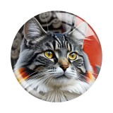20MM 10pcs/lot cat Print glass snap button charms