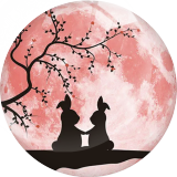 20MM 10Pcs/lot Lunar reflection Print glass snap button charms