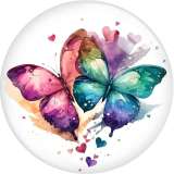 20MM 10pcs/lot color  Butterfly Print glass snap button charms