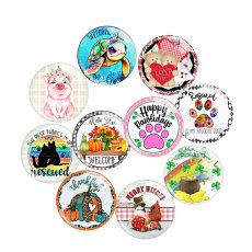 20MM 10Pcs/lot  Holiday glass snap button charms