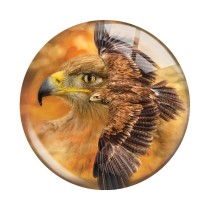 20MM 10pcs/lot animal Print glass snap button charms