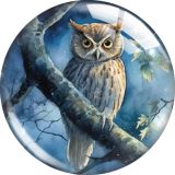 20MM 10pcs/lot owl glass snap button charms