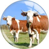 20MM 10pcs/lot cow  Print glass snap button charms