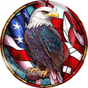 20MM 10Pcs/lot American Flag Print glass snap button charms