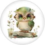 20MM 10pcs/lot Flower color owl  Print glass snap button charms