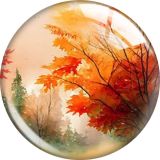 20MM 10pcs/lot Thanksgiving Maple Leaf Tree glass snap button charms