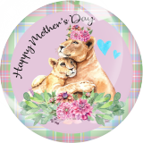 20MM 10Pcs/lot animal Print glass snap button charms