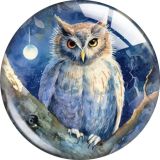 20MM 10pcs/lot owl glass snap button charms
