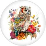 20MM 10pcs/lot Flower color owl  Print glass snap button charms