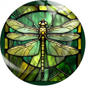 20MM 10Pcs/lot dragonfly Print glass snap button charms