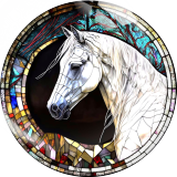 20MM 10Pcs/lot horse Print glass snap button charms