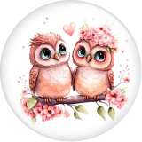20MM 10pcs/lot Flower color owl  Print glass snap button charms