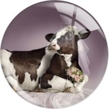 20MM 10pcs/lot cow  Print glass snap button charms