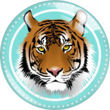20MM 10pcs/lot tiger Print glass snap button charms