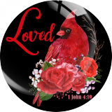 20MM 10Pcs/lot rosefinch Print glass snap button charms