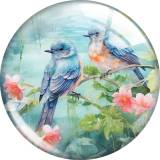 20MM 10pcs/lot bird Print glass snap button charms