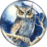 20MM 10pcs/lot owl glass snap button charms