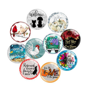 20MM 10Pcs/lot  Holiday glass snap button charms