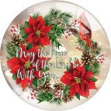 20MM 10Pcs/lot  Holiday glass snap button charms