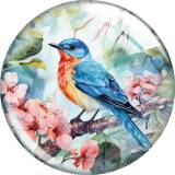 20MM 10pcs/lot bird Print glass snap button charms