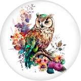 20MM 10pcs/lot Flower color owl  Print glass snap button charms