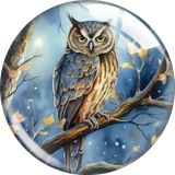 20MM 10pcs/lot owl glass snap button charms