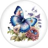 20MM 10pcs/lot color  Butterfly Print glass snap button charms