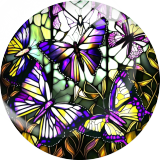 20MM 10Pcs/lot butterfly Print glass snap button charms