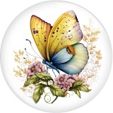 20MM 10pcs/lot color  Butterfly Print glass snap button charms