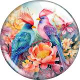 20MM 10pcs/lot bird Print glass snap button charms