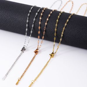 Stainless steel lip chain, bone chain, extended tail chain, women's titanium steel necklace