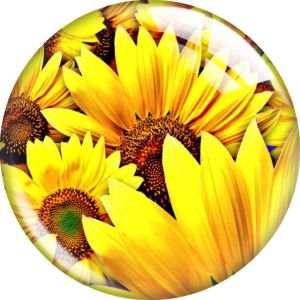 20MM 10pcs/lot sunflower glass snap button charms