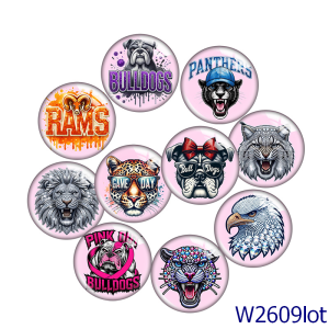 20MM 10pcs/lot  Sports team Tigers Print glass snap button charms