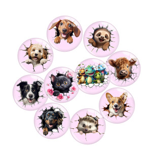 20MM 10pcs/lot  Cats, dogs, and cattle animals cartoon Print glass snap button charms