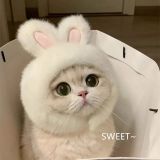 Little Pig, Cat, Hat, Chick, Pet Head Cover, Panda, Little Bear, Dog, Hat, Headwear, Cross dressing Hat, Internet Celebrity