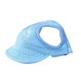 Pet supplies for large, medium, and small dogs, cats, sunshades, exposed ears, puppies, baseball caps