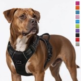 Dog leash pet chest and back nylon dog leash large dog harness pet supplies wholesale