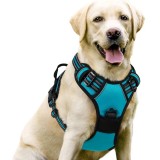 Dog leash pet chest and back nylon dog leash large dog harness pet supplies wholesale