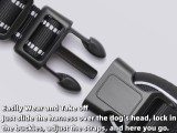 Dog leash pet chest and back nylon dog leash large dog harness pet supplies wholesale