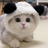 Little Pig, Cat, Hat, Chick, Pet Head Cover, Panda, Little Bear, Dog, Hat, Headwear, Cross dressing Hat, Internet Celebrity