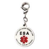 Double Snake Staff Pendant Medical Logo Snake Staff Stainless Steel Keychain Hanging