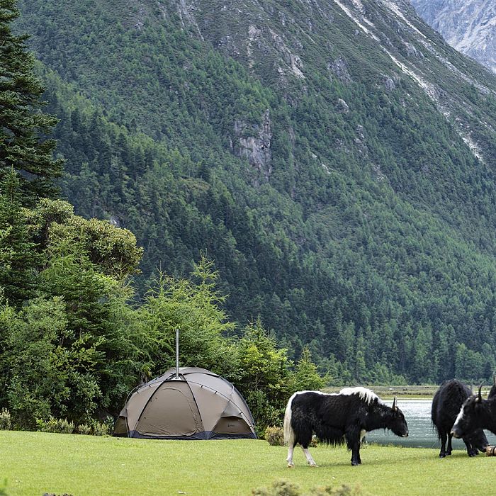 POMOLY Dome X6 | Round Tent Large Freestanding Tent 4-6 Person Family Hot Tent Camping