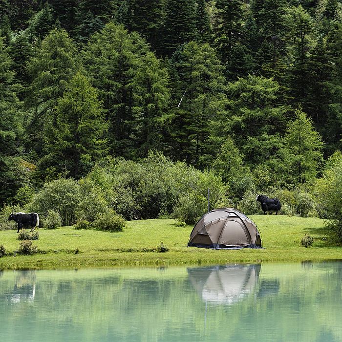 POMOLY Dome X6 | Round Tent Large Freestanding Tent 4-6 Person Family Hot Tent Camping
