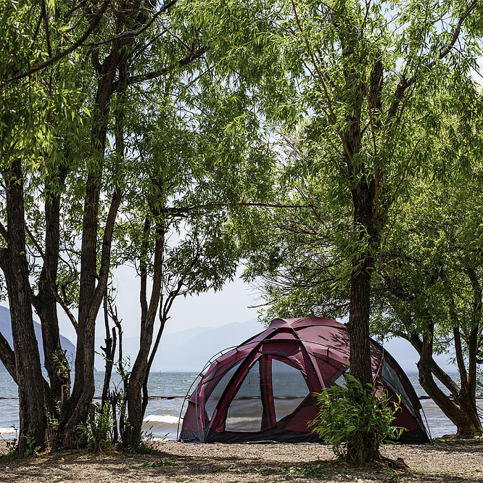 POMOLY Dome X6 Pro | Dome Tent for Camping Family Freestanding Tent Large Round Tent 4-6 Person Hot Tent